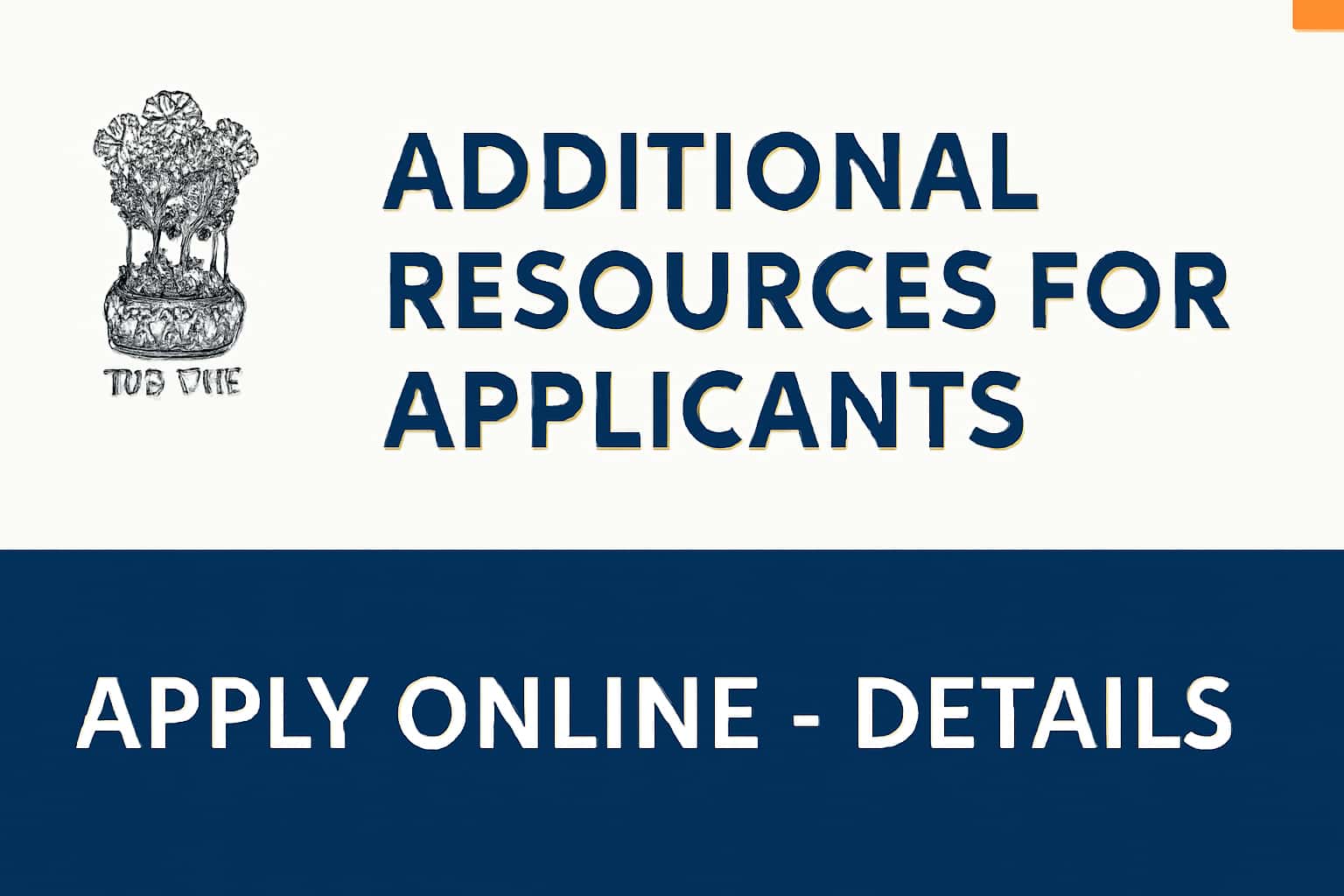 Additional Resources for Applicants for Govt Scheme Apply Online - Details